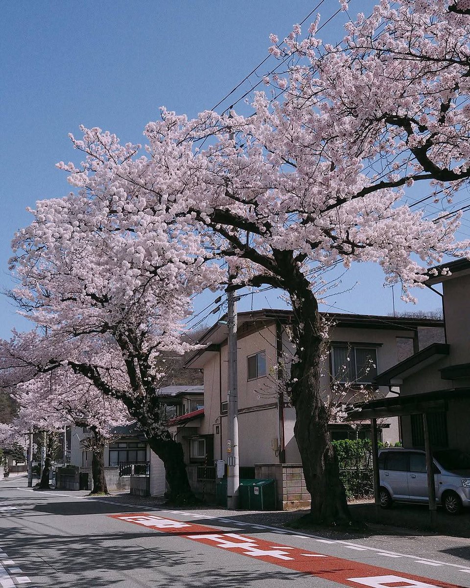 ‏ْ (@piinkifairy) on Twitter photo 