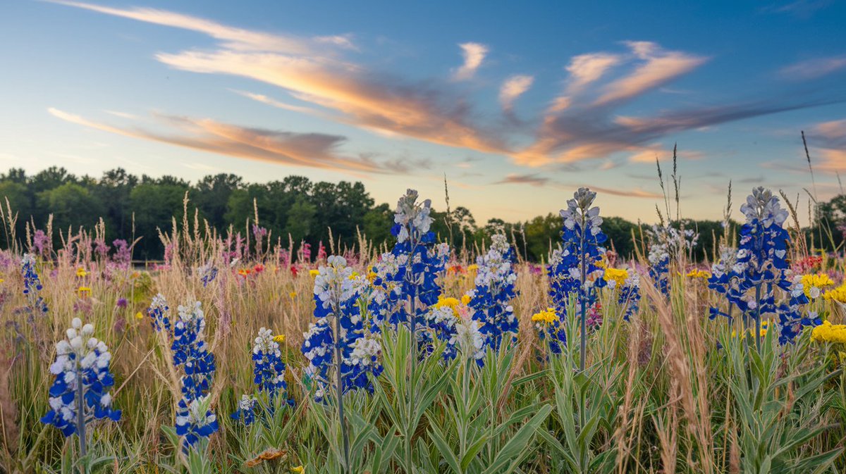There’s no expiration date on adventure. ✨
What’s something fun or meaningful you’re planning this month?

#MotivationMonday #InspiredLiving #GoldenCountryCowgirl