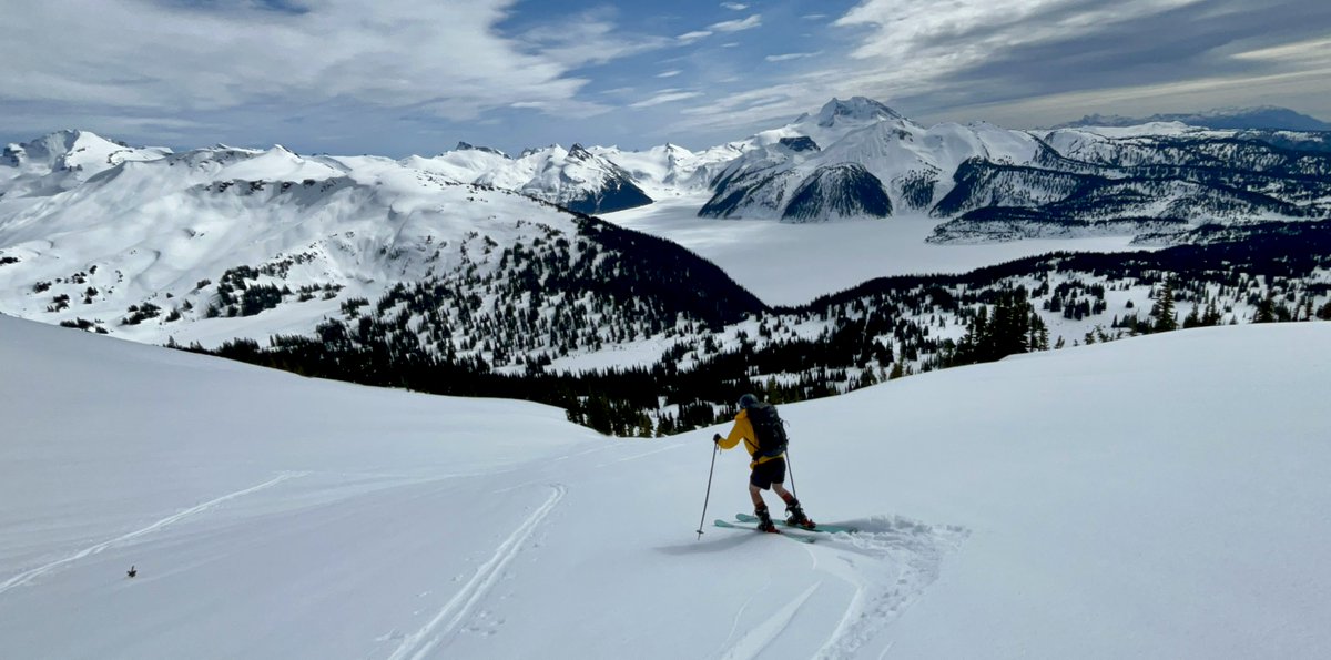 gabrielle_foss's tweet image. forever obsessed with this country