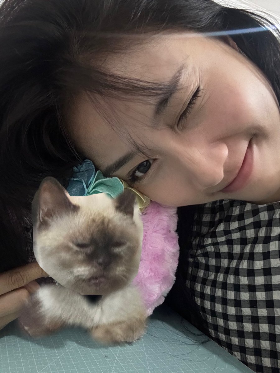 Aku udah berani sama kucing~ 😼