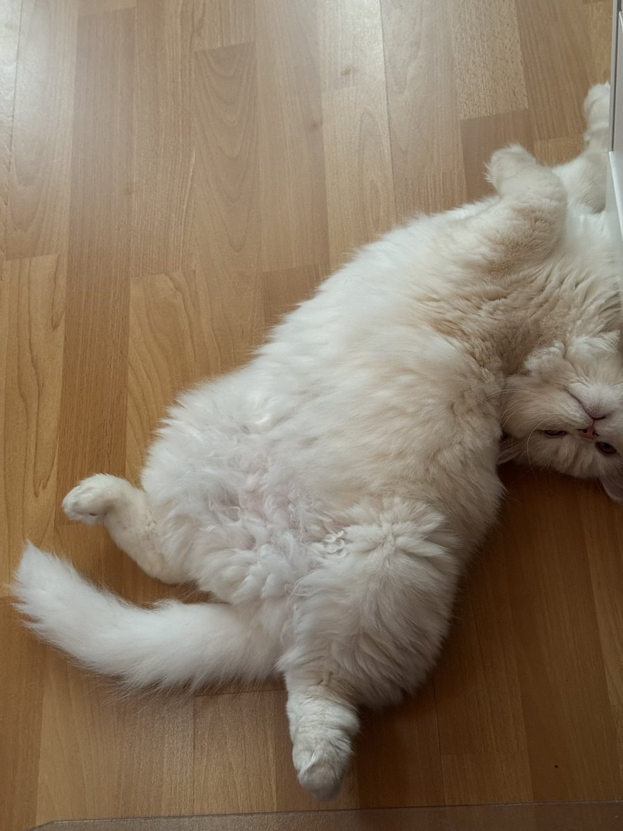 help my car is broken