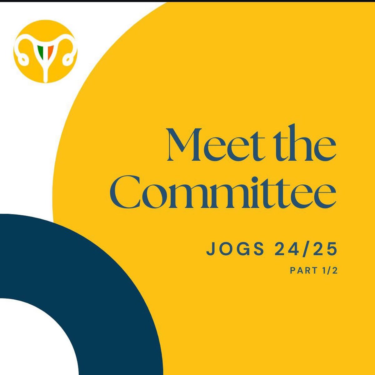 JOGSIreland's tweet photo. Welcome to our new team! JOGS Committee 2024/2025 🥳 #obsgynae #ireland 🇮🇪 ☘️ https://t.co/zak4NIze1q