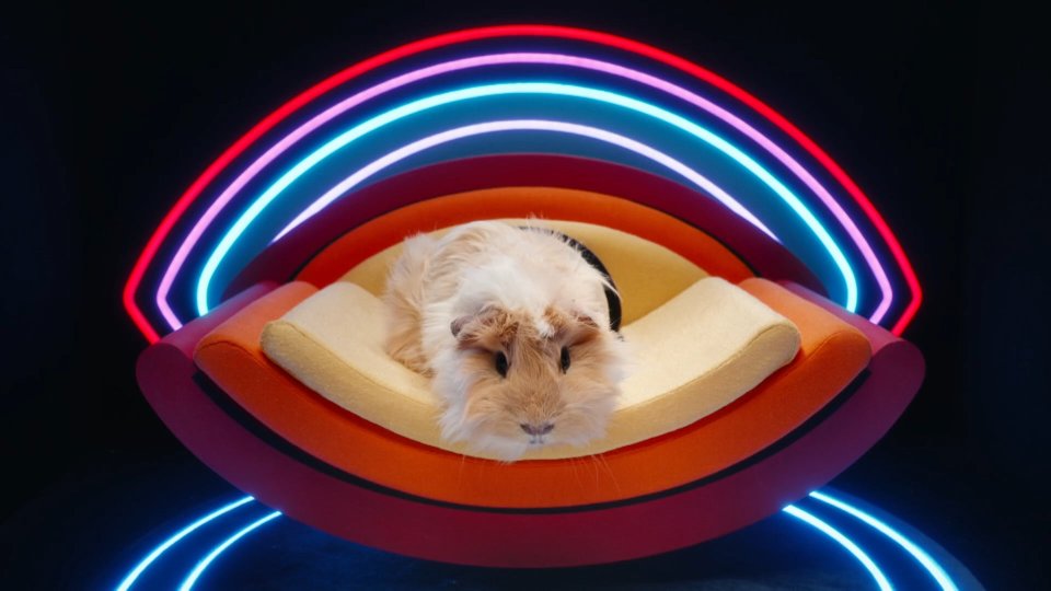 Michael fabricant in the diary room #CelebrityBigBrother