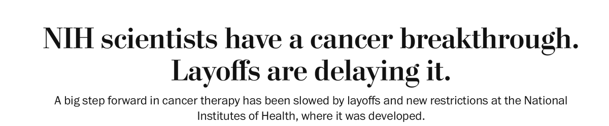 Amy Klobuchar tweet media