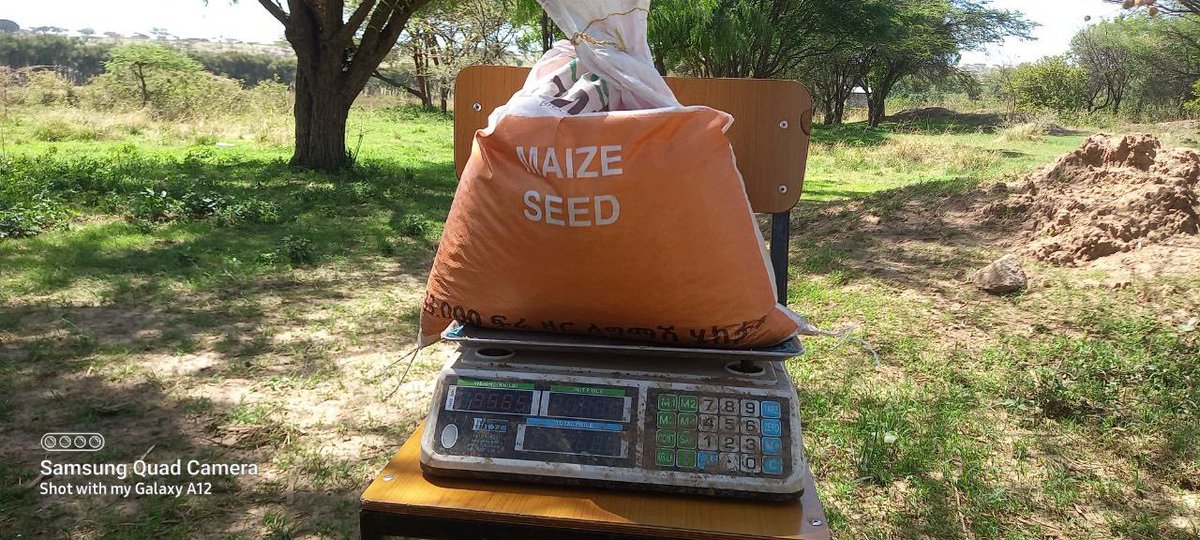 SAA distributed seed varieties &amp; fertilizers, including haricot bean &amp; maize, to host farmers in Angacha, Central Ethiopia, and Ana Sora and Negele Arsi, Oromia region for Belg production season. We wish our farmers to have a successful season &amp; empowered to cultivate the best.