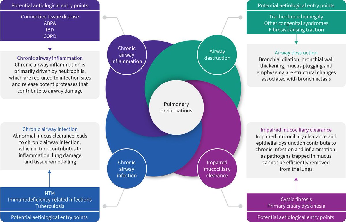 ERR: Neutrophilic inflammation plays a key role in the pathophysiology of bronchiectasis. As there are no licensed therapies to treat bronchiectasis, novel therapies that target neutrophilic inflammation may be beneficial for patients with the disease. bit.ly/3EcbqgK