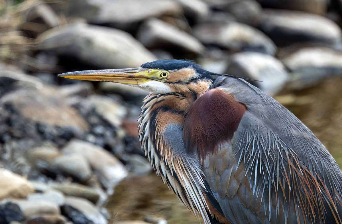 John Moncrieff tweet media