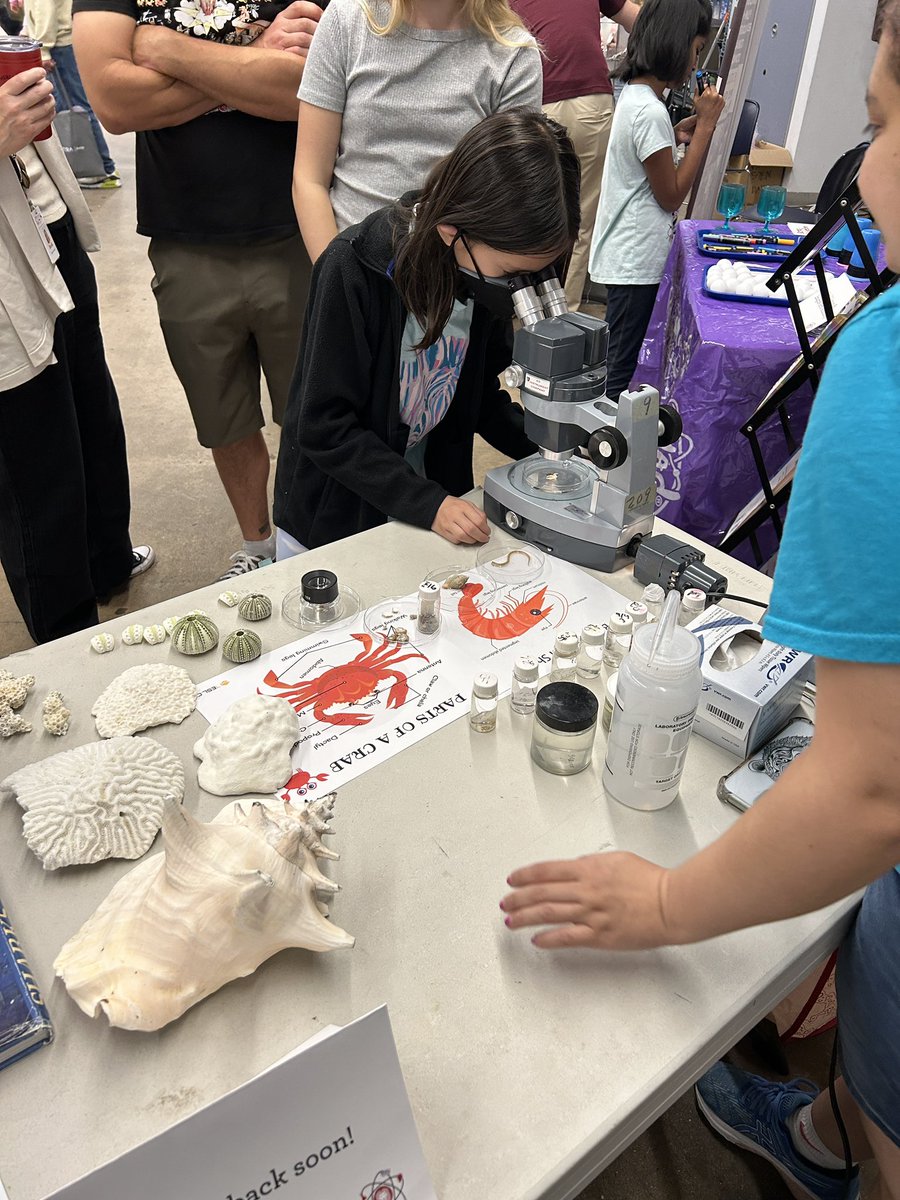 TX_SWMS's tweet image. This weekend TX SWMS participated in Meridian School’s Arts and Science Fest! 

Students got the chance to check out some microscope specimens, coral and urchin skeletons, and dive gear, and helped us build our own coral reef throughout the day!
