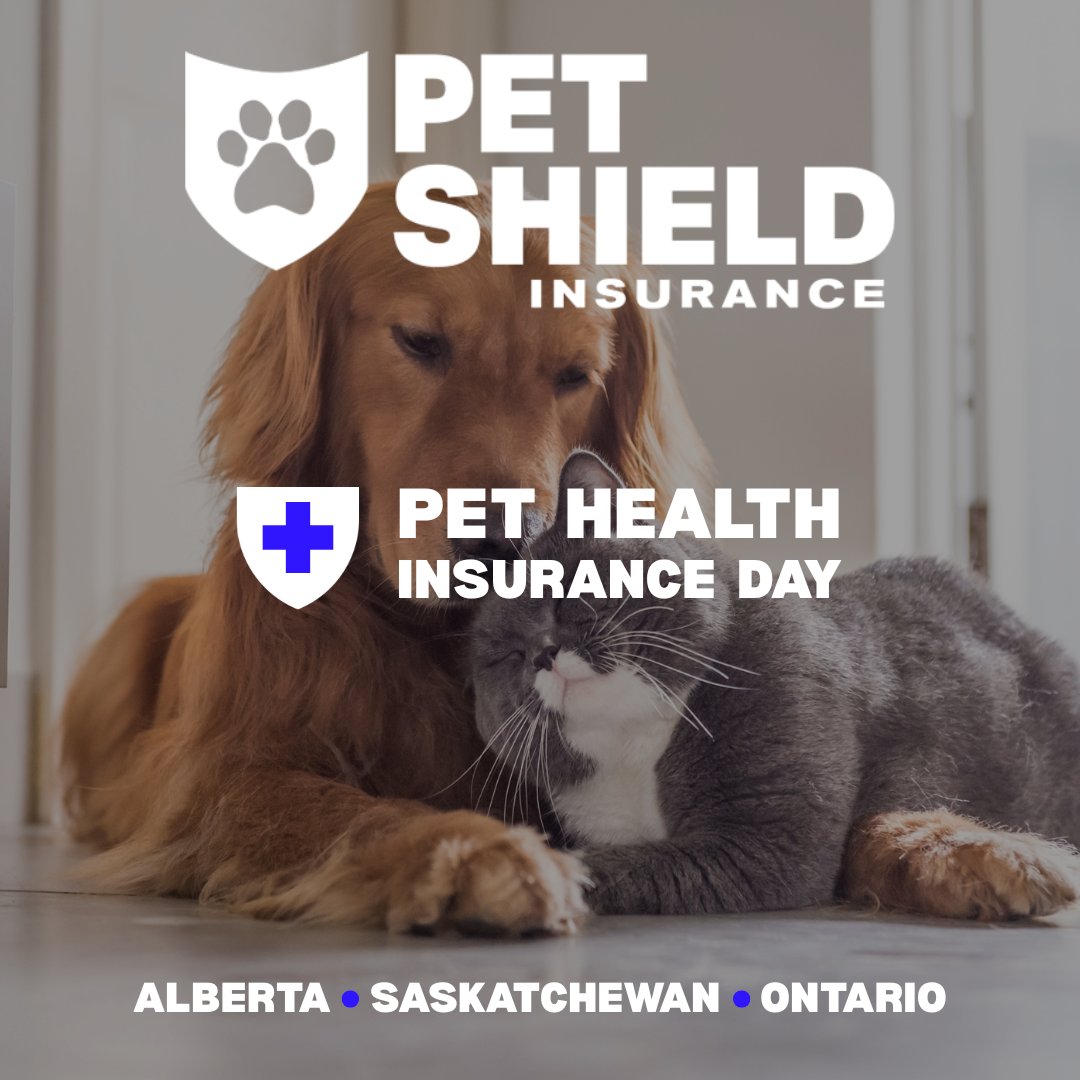 PetShieldInsure's tweet photo. 🐕🐈Today is #PetHealthInsuranceDay &amp; we wanted to spotlight the pet insurance coverage offered by Pet Shield!
✔️Coverage for dental cleanings
✔️ Premiums don't increase with the age
✔️ Coverage options to work with your budget
✔️ Cancel anytime

https://t.co/WhBJZxB3yB https://t.co/MKXzOnfCAg