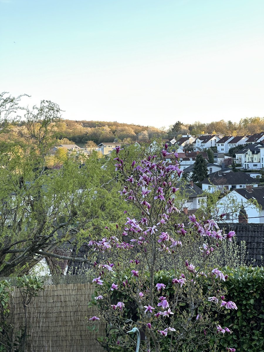 Lebenszeichen von 🐿️ und mir 🙋‍♀️ habt einen schönen Abend