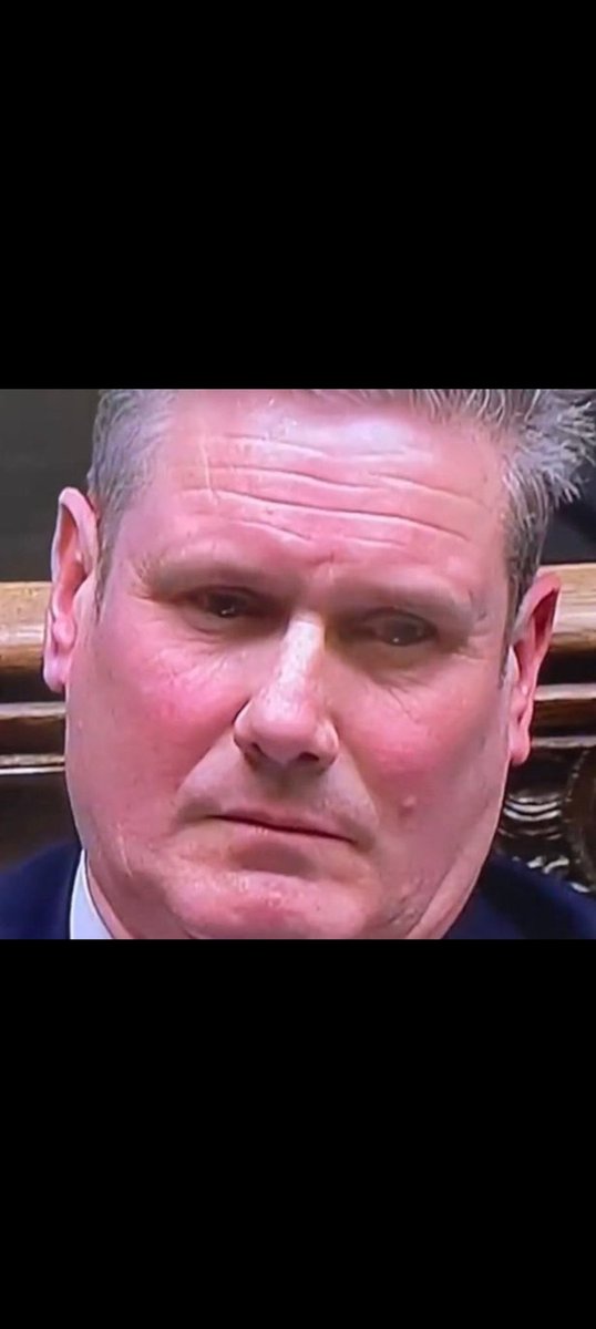 A face like a baboons sitting device