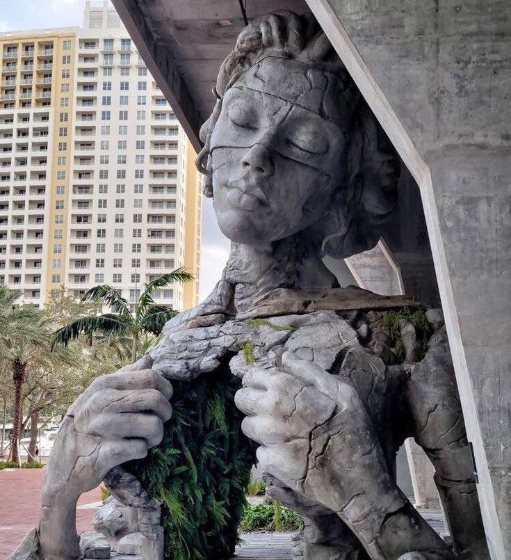 - رعى ريف قلبي لين صار الحشا مدهال -