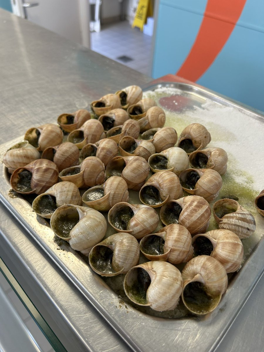 RMSLanguages's tweet image. We have arrived at the chateau! First up, snail tasting! 🐌🐚🇫🇷