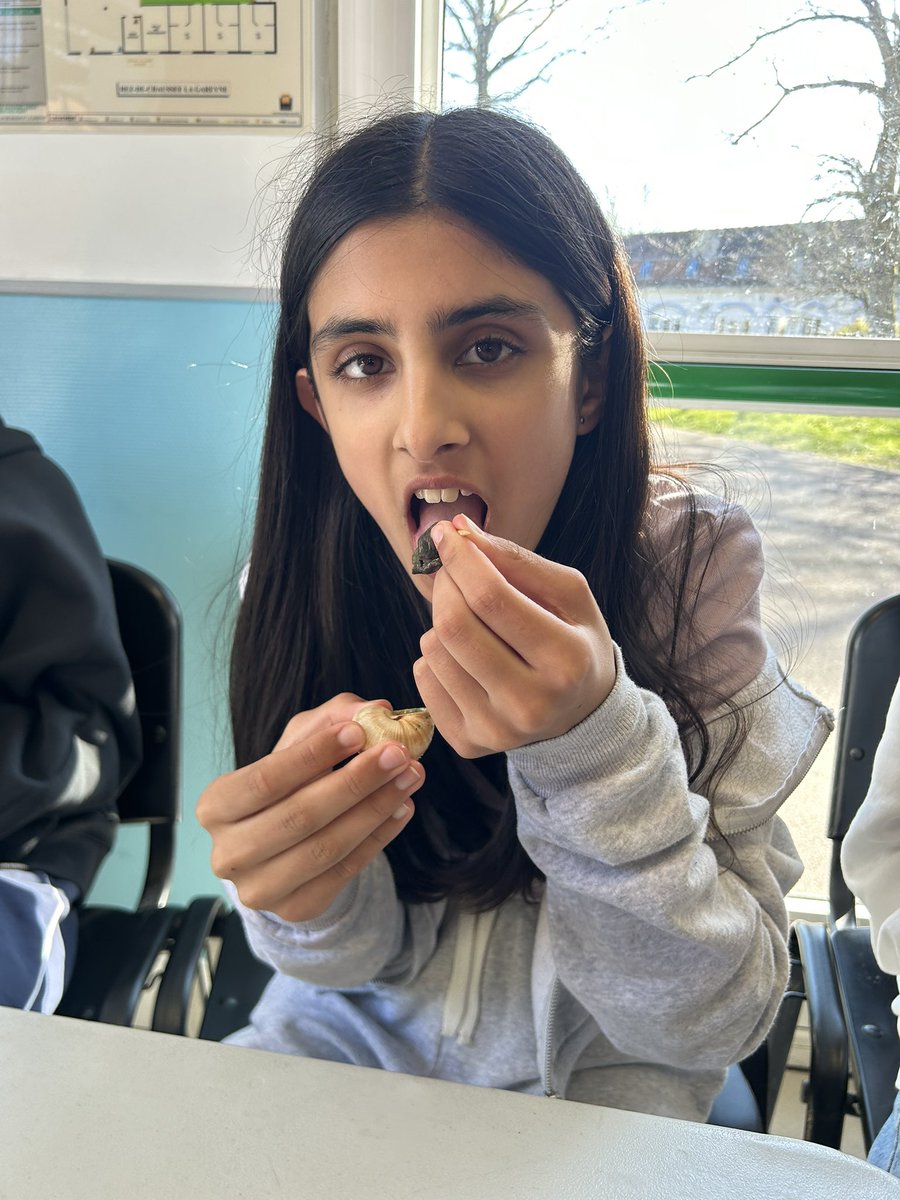 RMSLanguages's tweet image. We have arrived at the chateau! First up, snail tasting! 🐌🐚🇫🇷