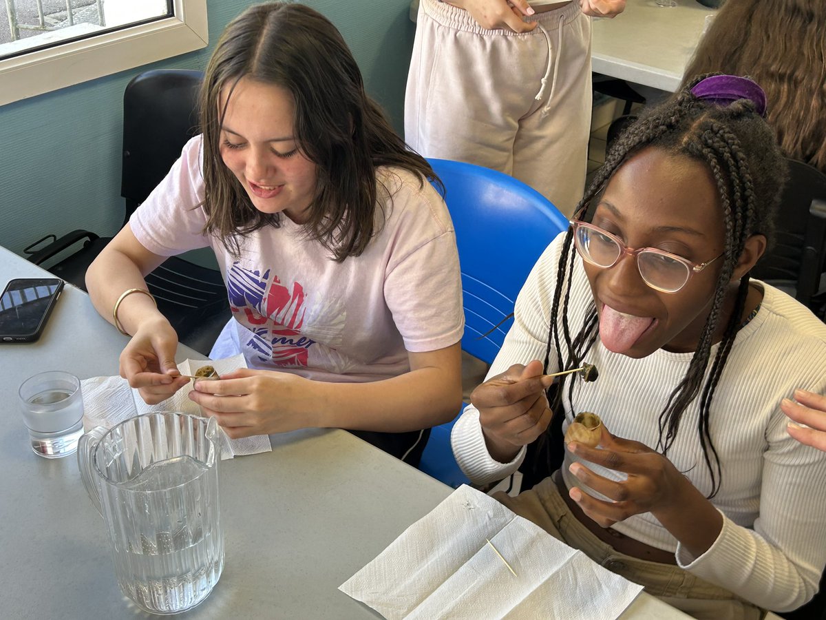 RMSLanguages's tweet image. We have arrived at the chateau! First up, snail tasting! 🐌🐚🇫🇷