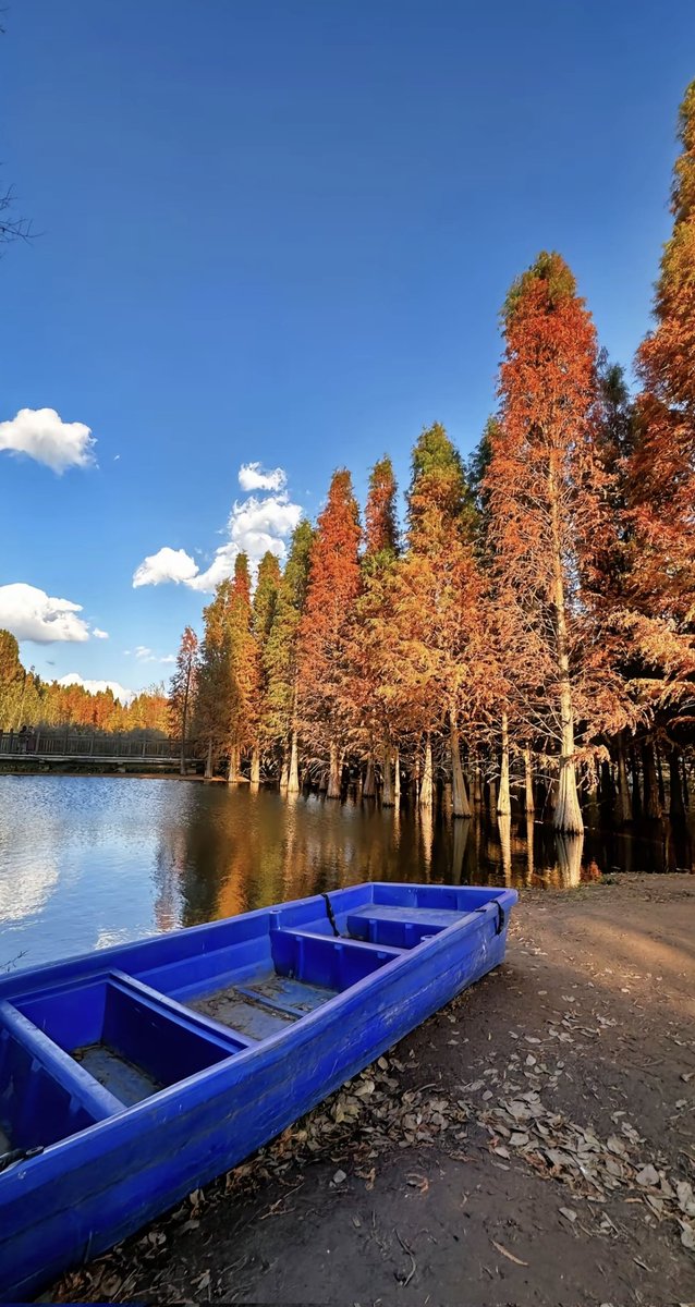 I like rainy days, keep a distance from people, and get closer to people even more.