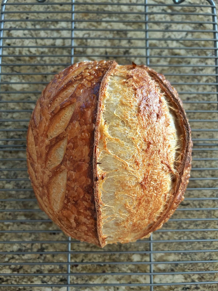 Joe Moore tweet media