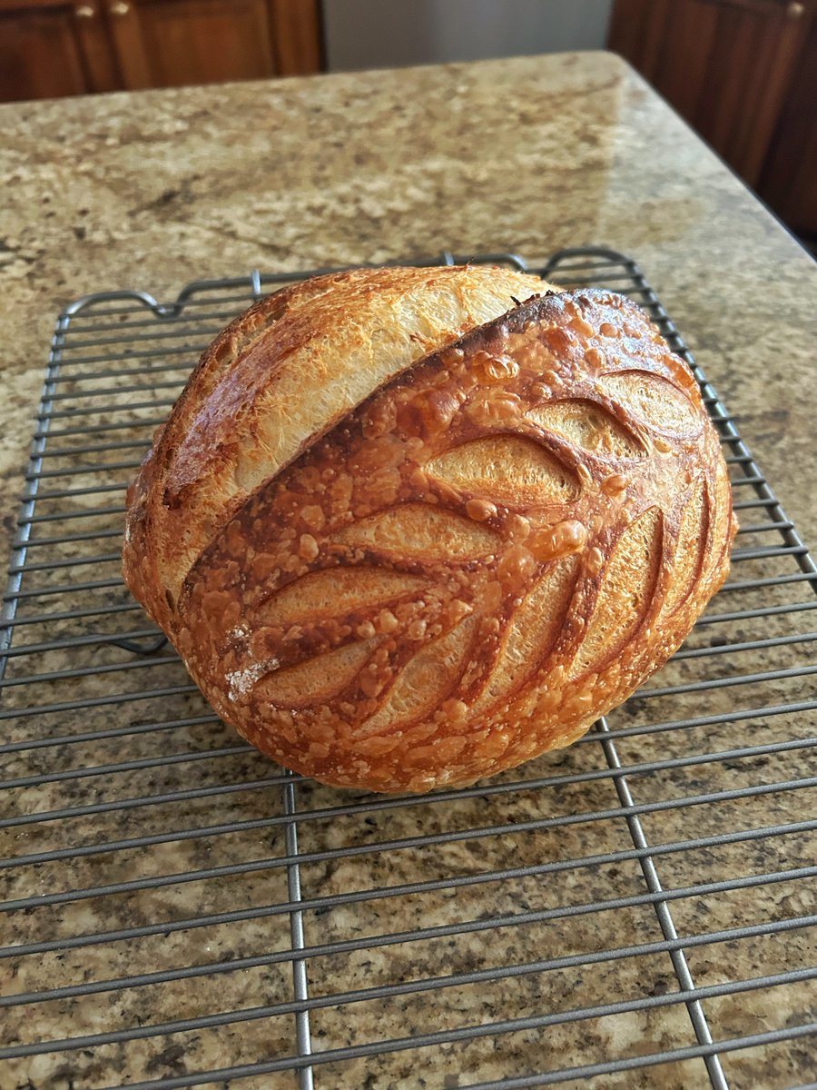 Joe Moore tweet media