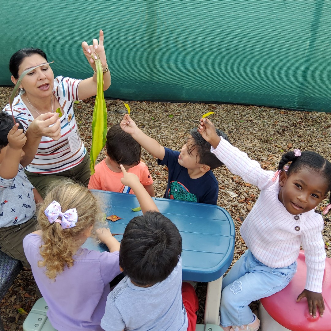 LeJardinCC's tweet image. 🌿 Outdoor science fun! Our Early Head Start cuties took learning outside to explore leaves—comparing sizes, shapes, and their unique textures. Hands-on learning at its cutest! 🍃✨ @natlheadstart #EarlyHeadStart #OutdoorLearning #STEMkids #NatureExplorers