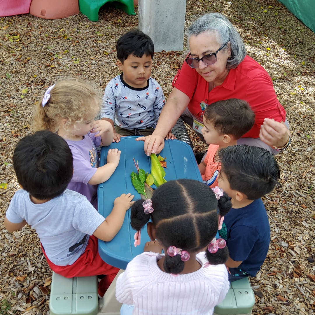 LeJardinCC's tweet image. 🌿 Outdoor science fun! Our Early Head Start cuties took learning outside to explore leaves—comparing sizes, shapes, and their unique textures. Hands-on learning at its cutest! 🍃✨ @natlheadstart #EarlyHeadStart #OutdoorLearning #STEMkids #NatureExplorers