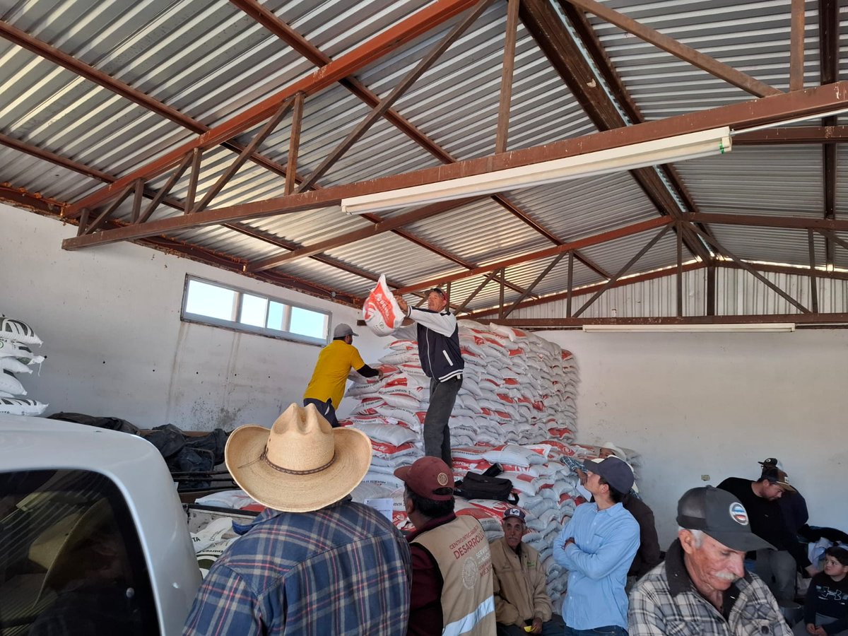Entrega de fertilizantes, en el municipio de Guanaceví, Dgo. En el marco del Programa de Fertilizantes 2025. 🌽🌾🌿💚