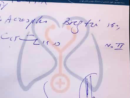 دوستان کسی میدونه این اسپری رو از کجا میشه تهیه کرد؟!؟!
تو تبریز یافت نشد🤦🏻‍♀️🫠