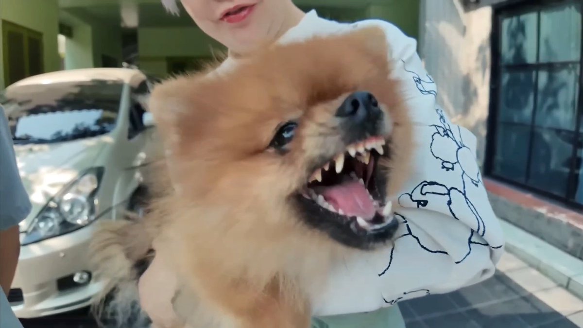 blbpfg's tweet image. Please I screamed like crazy when this happened

#MUMUTOFUSS2ep8