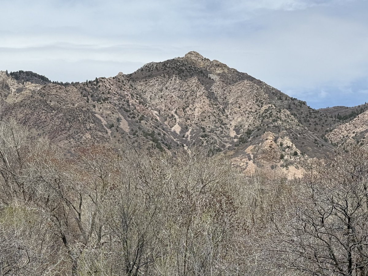 Mad Mori tweet media