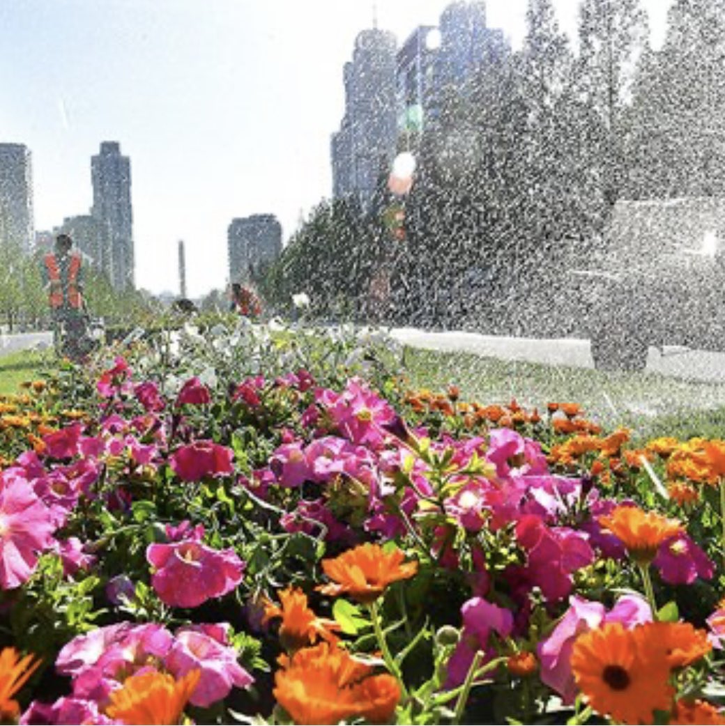 To celebrate the April holiday, Pyongyang has reopened its borders to foreigners. Praying for more fruitful and long-lasting international engagement as spring brings new beginnings. 

joyellenyoon.com/blog/2025/4/7/…