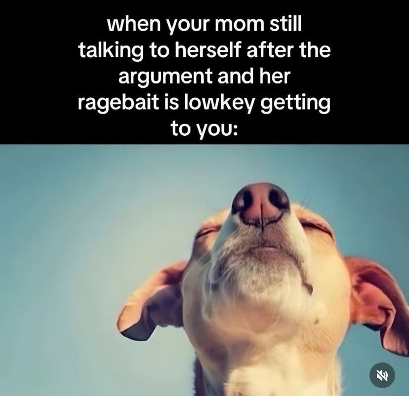 🕐HOURLY🕑 shitpost (@hourly_shitpost) on Twitter photo 