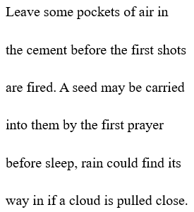 Alex Carrigan (@carriganak) on Twitter photo <a href="/theferocity/">Saeed Jones</a> Day 7: Remedies for Disappearing by Alexa Patrick. Quote: "Mercy Burned Down with All the Other Small Towns." <a href="/theferocity/">Saeed Jones</a> Day 7: Remedies for Disappearing by Alexa Patrick. Quote: "Mercy Burned Down with All the Other Small Towns."