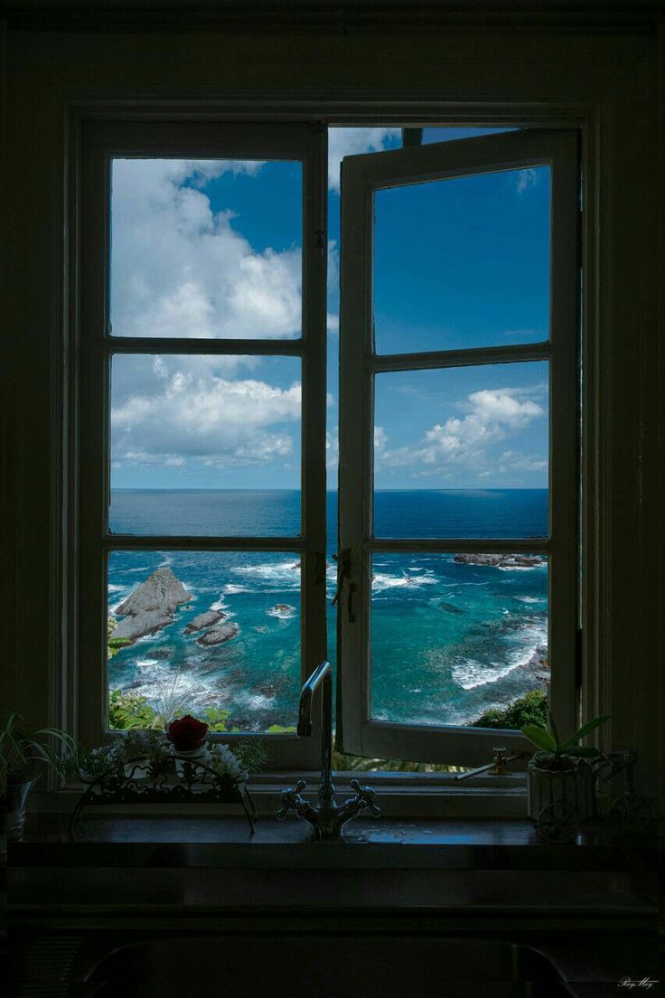 blue dream (@bluedreamvibes) on Twitter photo 