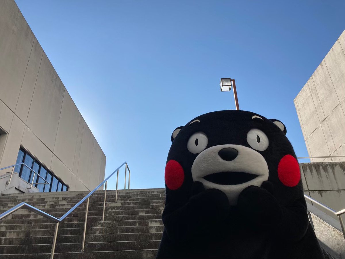⚠️くまさん専用アカウント⚠️ 零クマ - Twitch