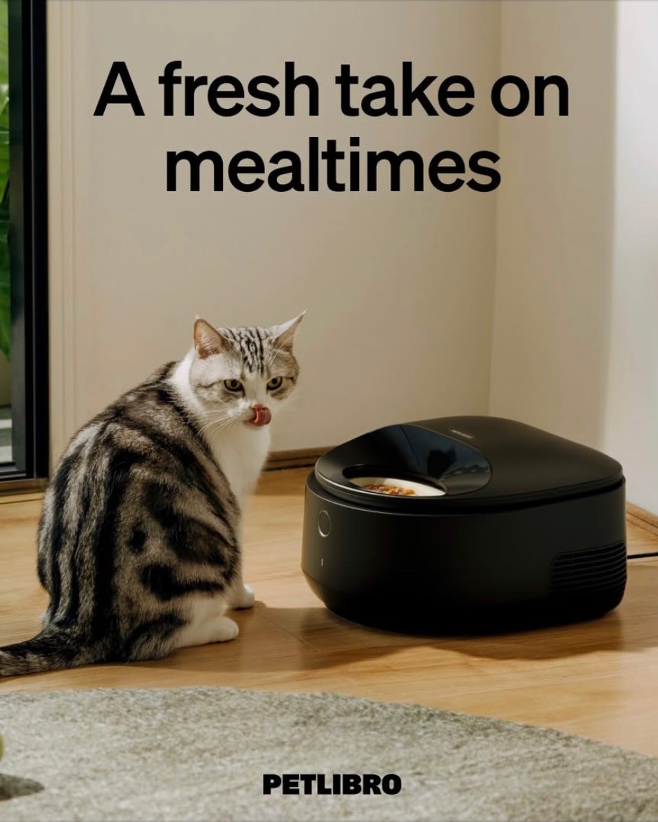 HomeSmarterUK's tweet image. Worry about keeping wet pet food out in the heat? ☀️ Polar keeps 3 meals fresh for 3 days 🐱

🔗 tidd.ly/3YncYvH (#Ad)

#SmartPetTech #smartpetfeeder #smartcatfeeder #smartdogfeeder #petlibro #PolarWetFoodFeeder #petwetfood

@petlibro