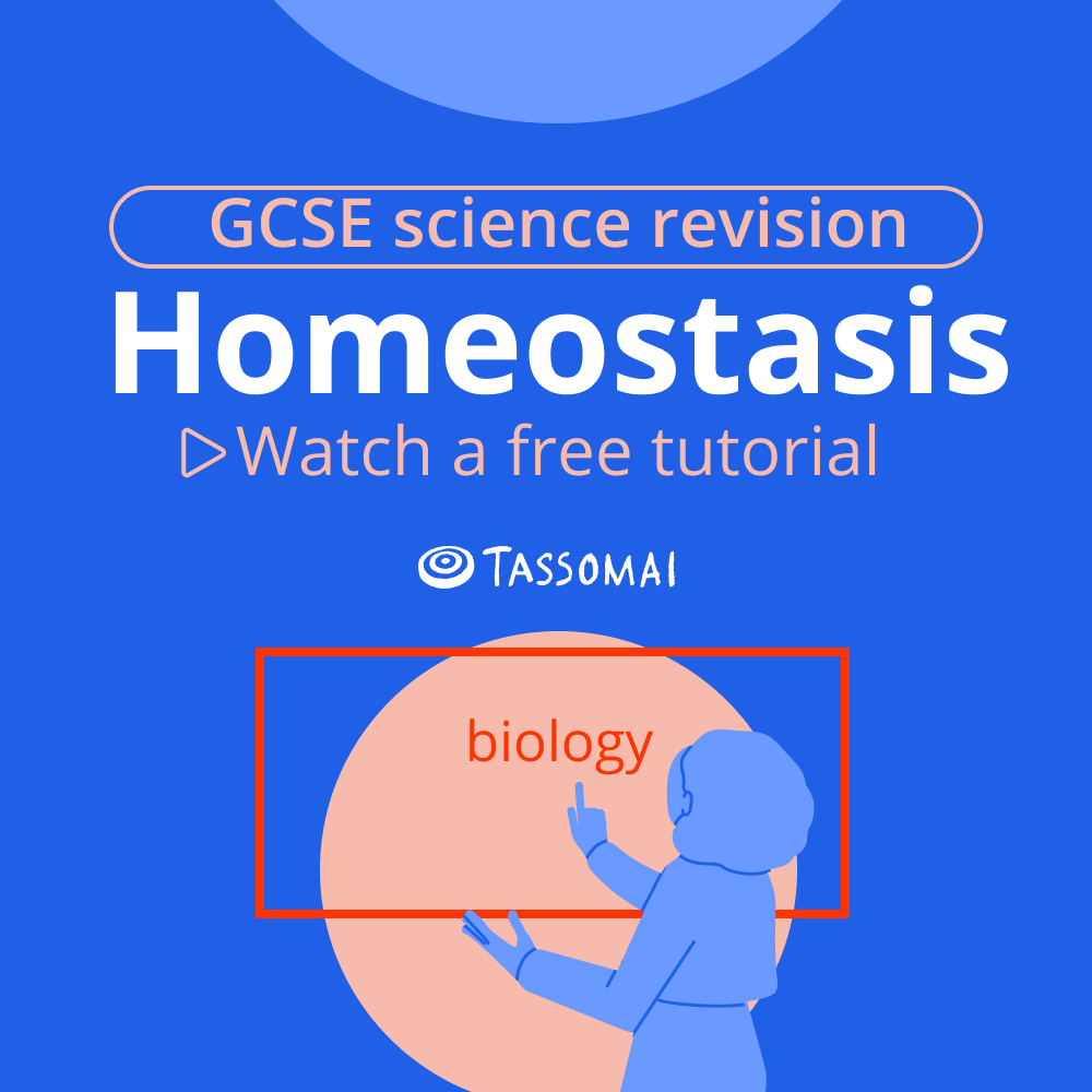 Tassomai's tweet photo. Our free #GCSE Live Lessons are Zoom-based tutorials (taught by teachers) &amp; tackling topics we know from our usage data that students find tricky. This Easter we’ve republished 12 #LiveLesson recordings on key #maths, #science &amp; #English topics.

➡️ https://t.co/r0e2a27mVR https://t.co/da0UWnMiCh