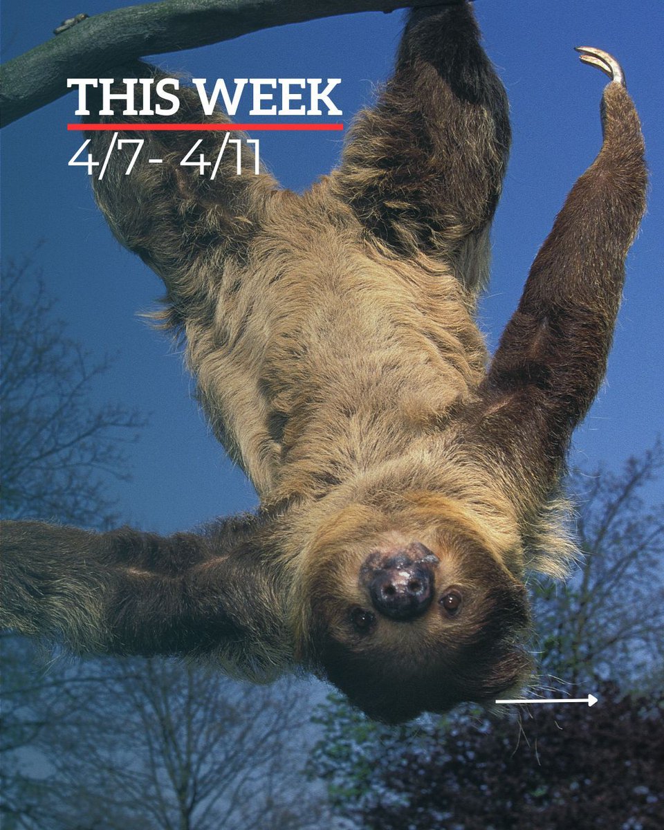 ExploringByTheSeat - Find us on BlueSky tweet media