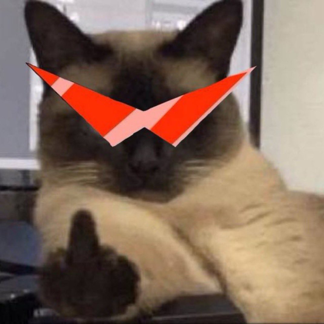 iheartjpgs's tweet photo. @grindingsol @valueandtime I fw the #fagcat https://t.co/N381oxTkFo
