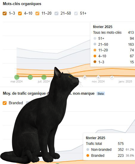 BlackCat SEO tweet media