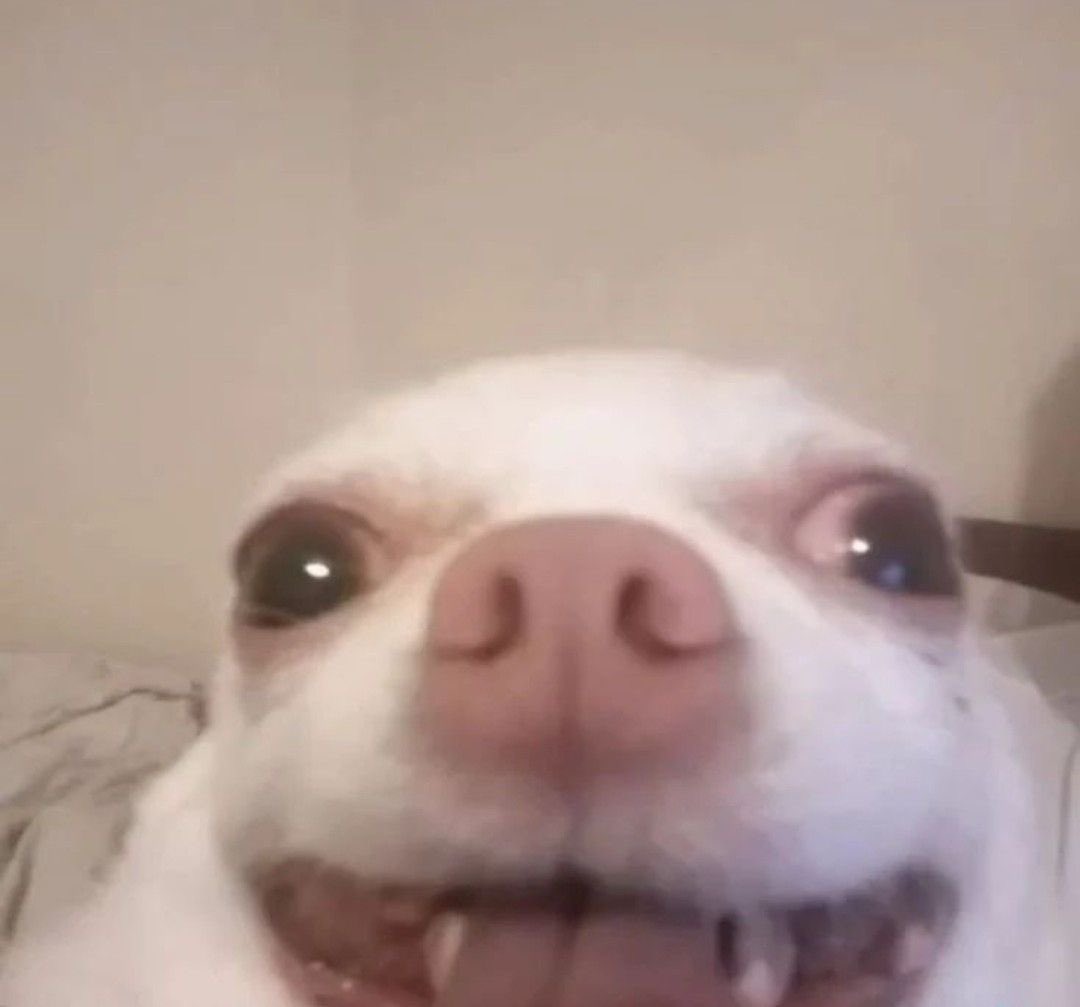 ghostly_cherryy's tweet image. HI IM ALIVE AND STREAMING #LockdownProtocol TONIGHT OKAY POOKIES BYE I LOVE YOU XOXOXOXOXO