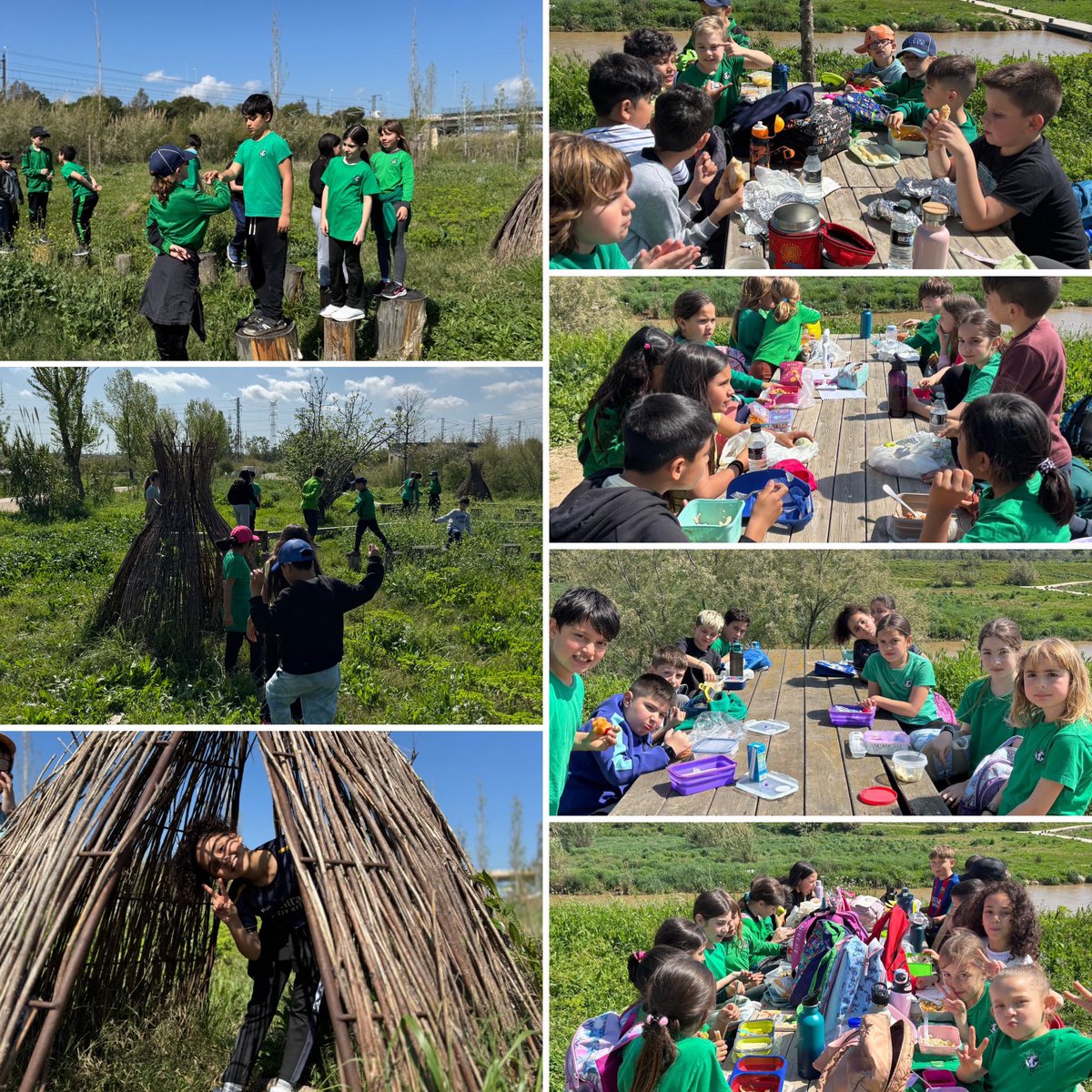 Avui, els nens i nenes de 3r, hem pogut gaudir d’un bonic dia al riu, coneixent la flora i la fauna que hi habita. 🐰🐱🪱🐞🦋🐌🌿🌾🍃