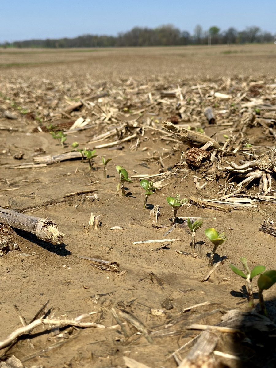 Chris Cooper tweet media