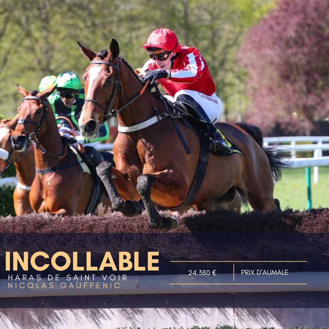 Hugo Merienne (@hmerienneracing) on Twitter photo 🏆 Le retour tant attendu d’INCOLLABLE qui n’a rien perdu et s’impose dans le Prix d’Aumale sous la selle de <a href="/GauffenicN/">gauffenic nicolas</a> à <a href="/HippoCompiegne/">Hippodrome Compiègne</a> pour <a href="/NLageneste/">Nicolas de Lageneste</a> <a href="/justinedelag/">flicflac</a>
Félicitations à son entourage et bravo à l’équipe pour leur travail ! 🥂
📸 <a href="/scoopdyga/">ScoopDyga</a> 🏆 Le retour tant attendu d’INCOLLABLE qui n’a rien perdu et s’impose dans le Prix d’Aumale sous la selle de <a href="/GauffenicN/">gauffenic nicolas</a> à <a href="/HippoCompiegne/">Hippodrome Compiègne</a> pour <a href="/NLageneste/">Nicolas de Lageneste</a> <a href="/justinedelag/">flicflac</a>
Félicitations à son entourage et bravo à l’équipe pour leur travail ! 🥂
📸 <a href="/scoopdyga/">ScoopDyga</a>