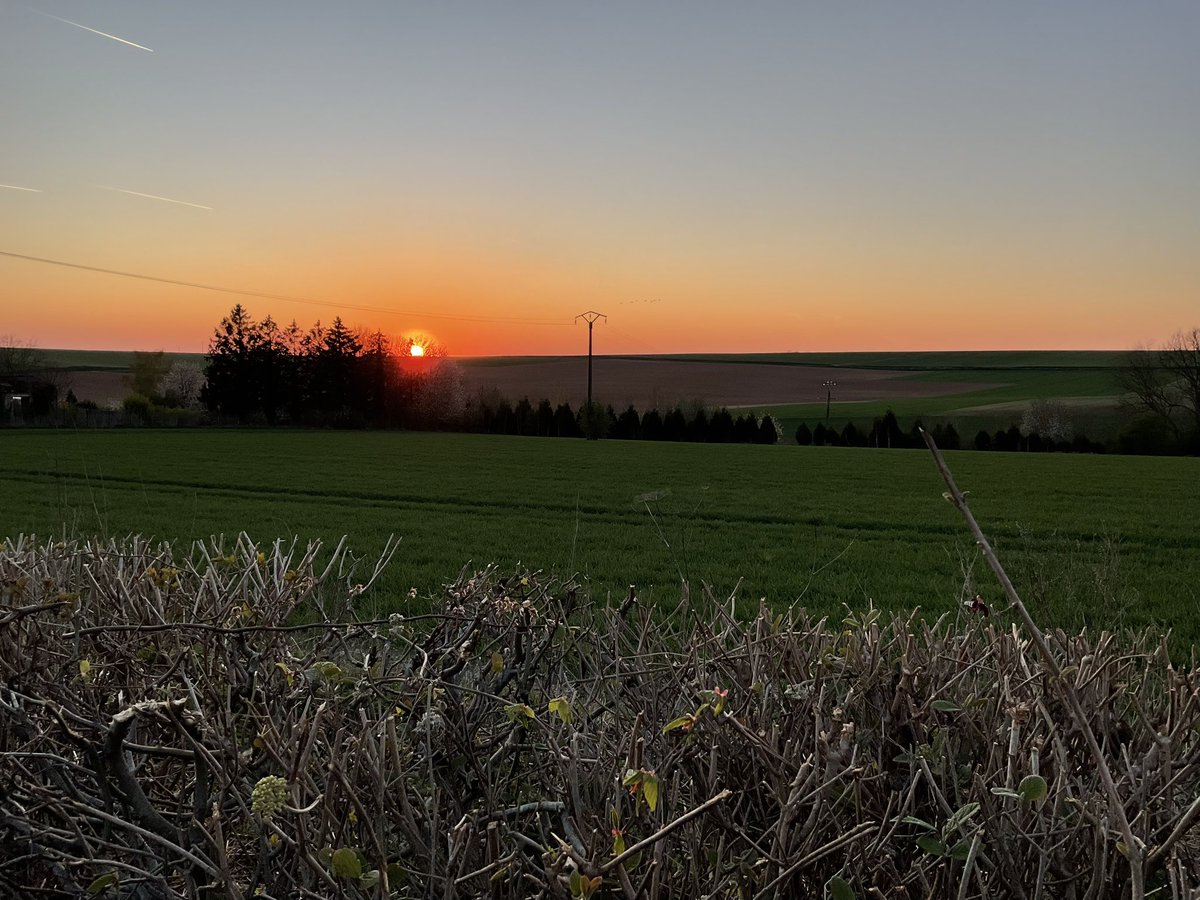 Tales From The Battlefields Podcast tweet media