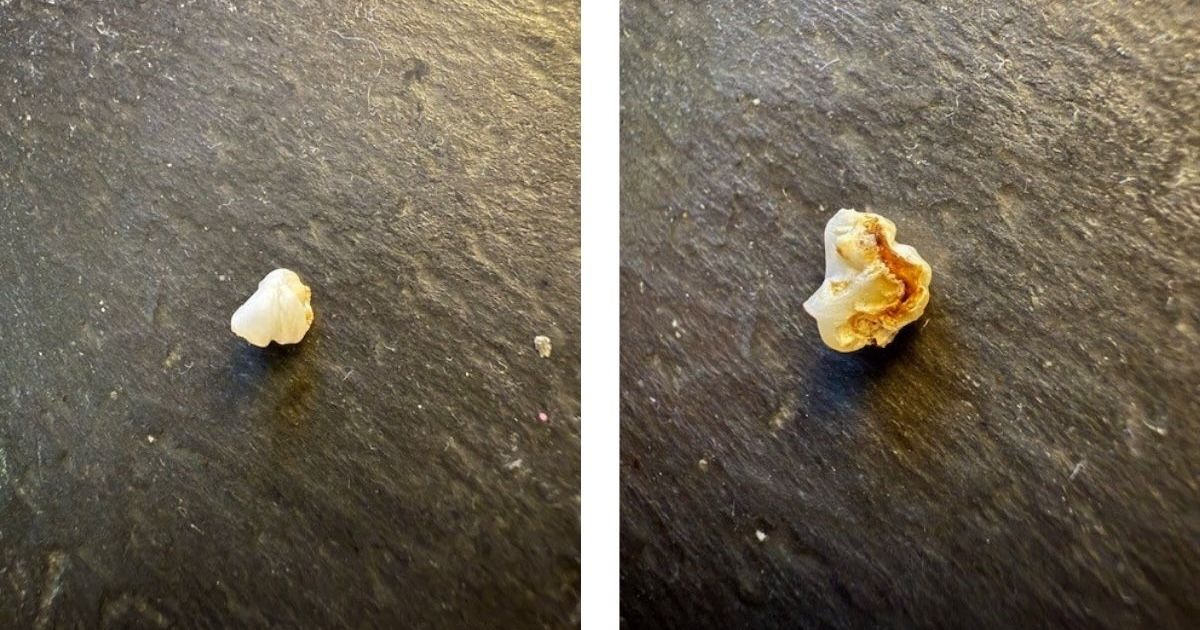 eastsidefeed tweet media