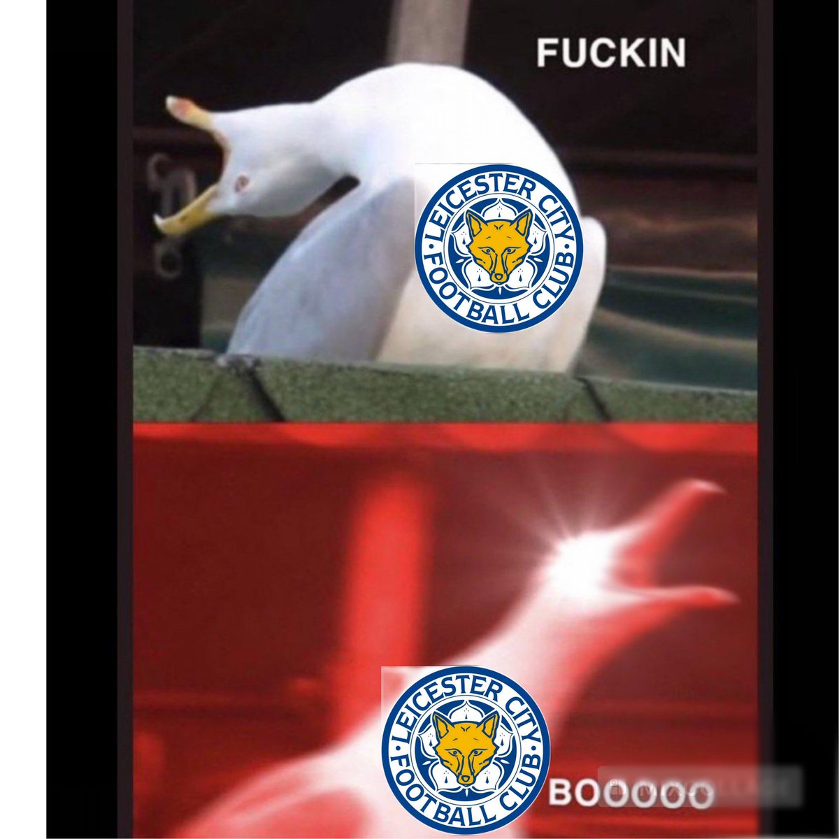 MRoythorne's tweet photo. @LCFC https://t.co/6Xkx07fS64