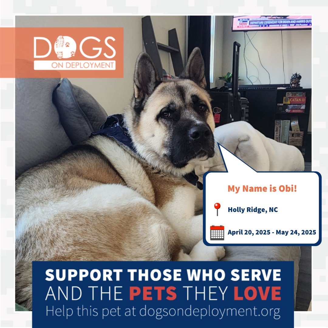 DogsonDeploymnt's tweet photo. These good boys and girls arenโt just cuteโthey need a place to stay!
Nala: https://t.co/44L4MgXZDy
Ruby: https://t.co/3R25w3VoEI
Obi: https://t.co/UtRaNTgenZ
Whiskey: https://t.co/OSz5vfzEL6
(Must be registered & logged on to view all info)
#DogsonDeployment #DoDFoster https://t.co/q87C0uawV9