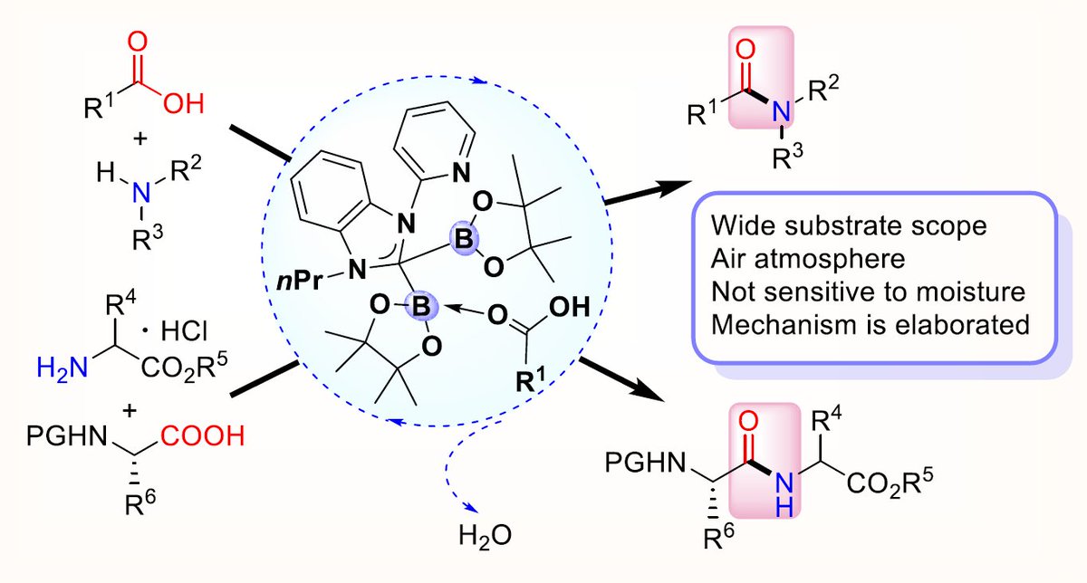 N-Heterocyclic Carbene-Diboron-Substrate Cooperatively Facilitate Direct Amidation of Carboxylic Acids and Amines (<a href="/AdvSynthCatal/">Adv. Synth. & Catal.</a>): advanced.onlinelibrary.wiley.com/doi/10.1002/ad….