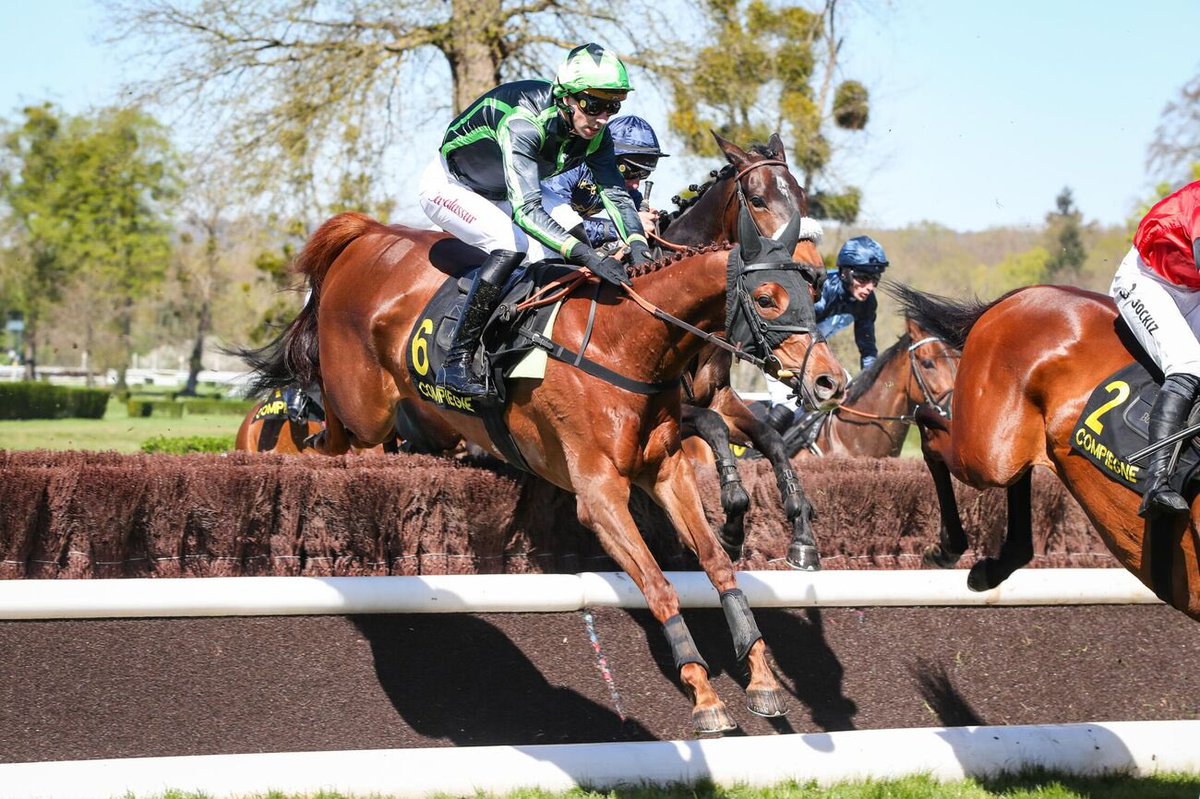 🥇

🌟Giacosa 2 from 2 over fences 

A busy day for the team at Compiegne makes it all worth it with a winner from Giacosa in the Quinte
Following a bold move by jockey N. Gauffenic, the gelding remains unbeaten over fences 

Congrats to owner N. Halsall and breeders M &amp; L. Cave