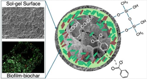 Project 5 in <a href="/EnvSciTech/">Environmental Science & Technology Journals</a> Engineering: Development of a novel PCB-degrading biofilm enriched biochar encapsulated with Sol–Gel: a protective layer to sustain biodegradation activity
<a href="/ACSPublications/">ACS Publications</a>   
pubs.acs.org/doi/10.1021/ac…