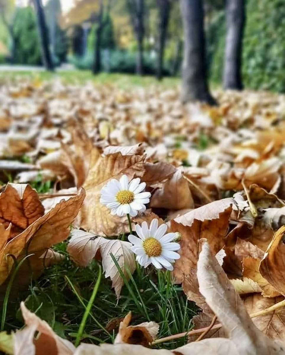 Temizlen de gir mezara, 
Toprak senden incinmesin..!